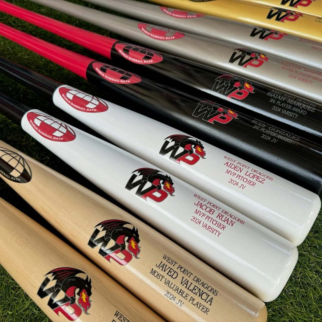 The Evolution of Bat Design